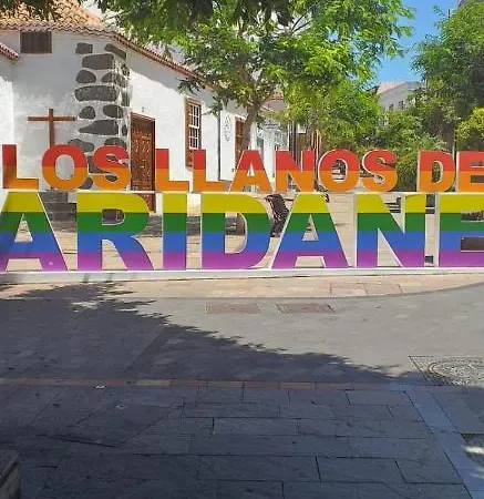Lejlighed Argual