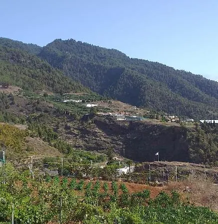 Argual * Los Llanos De Aridane